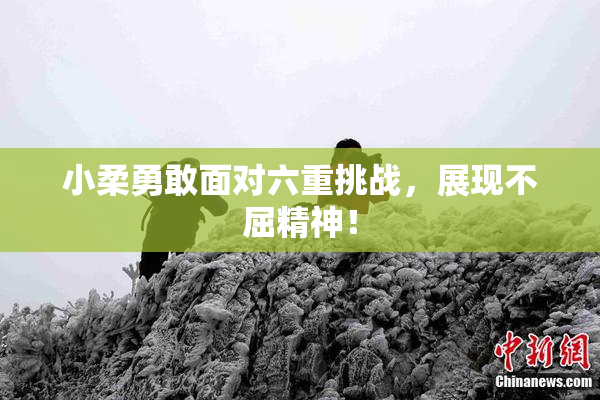 小柔勇敢面对六重挑战，展现不屈精神！