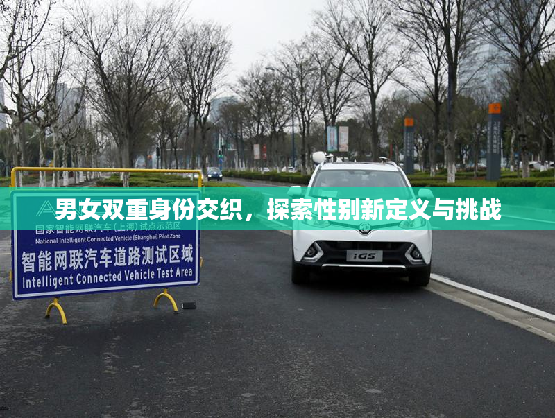 男女双重身份交织，探索性别新定义与挑战