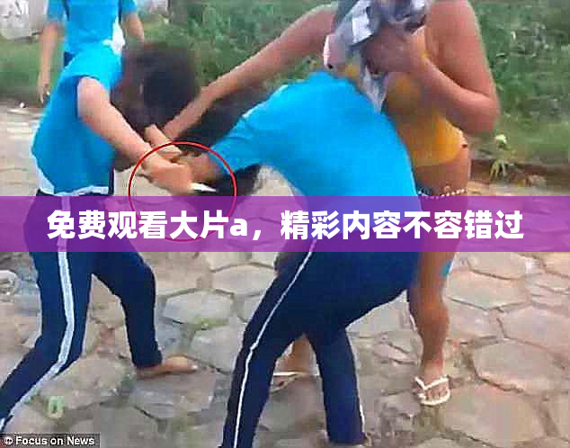 免费观看大片a，精彩内容不容错过
