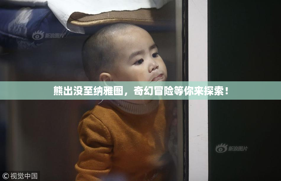 熊出没至纳雅图，奇幻冒险等你来探索！