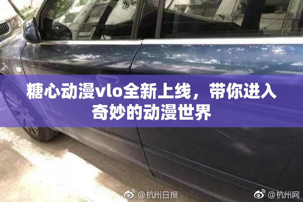 糖心动漫vlo全新上线，带你进入奇妙的动漫世界