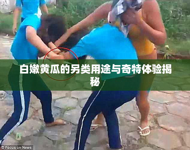白嫩黄瓜的另类用途与奇特体验揭秘