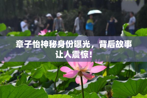 章子怡神秘身份曝光，背后故事让人震惊！