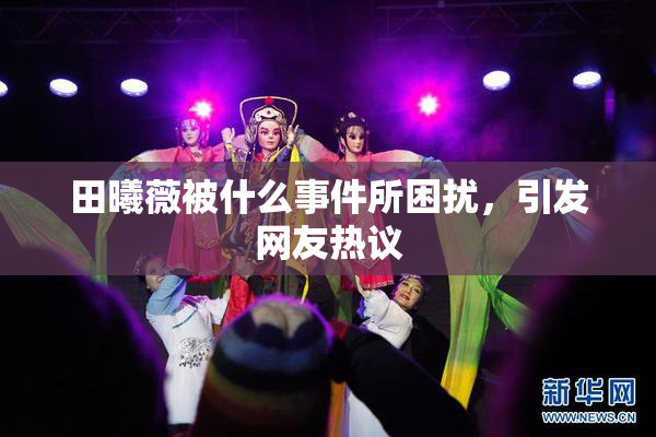 田曦薇被什么事件所困扰，引发网友热议