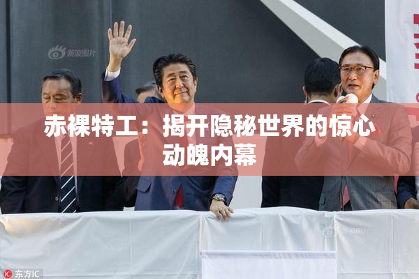 赤裸特工：揭开隐秘世界的惊心动魄内幕