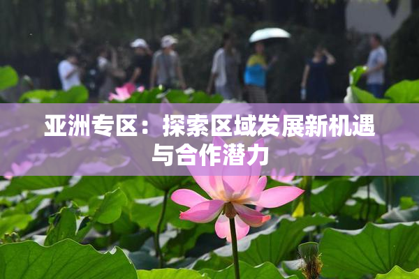 亚洲专区：探索区域发展新机遇与合作潜力