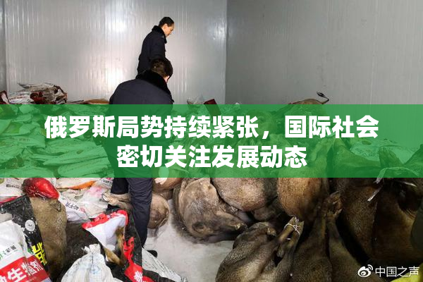 俄罗斯局势持续紧张，国际社会密切关注发展动态