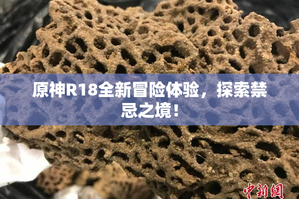 原神R18全新冒险体验，探索禁忌之境！