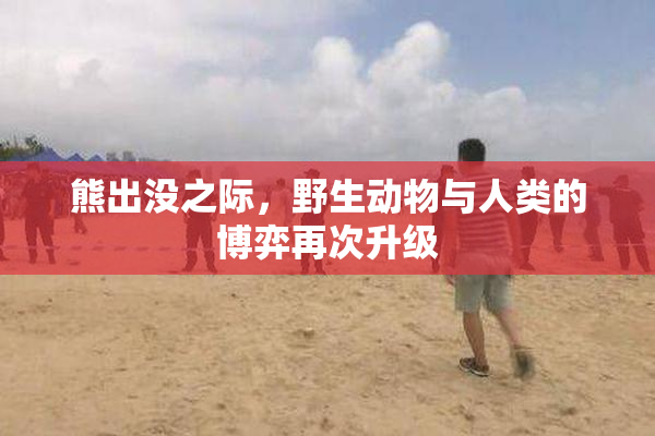熊出没之际，野生动物与人类的博弈再次升级