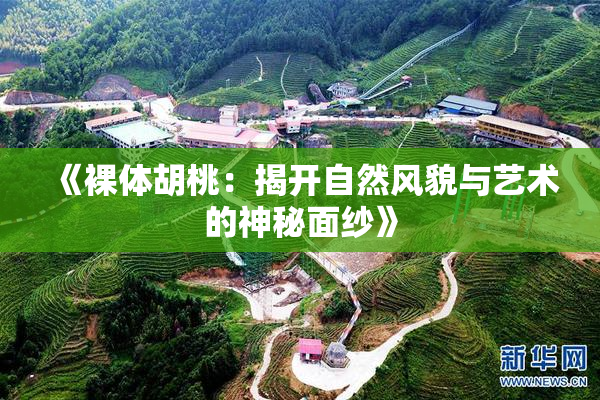 《裸体胡桃：揭开自然风貌与艺术的神秘面纱》