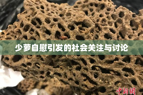 少萝自慰引发的社会关注与讨论