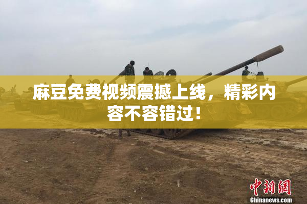 麻豆免费视频震撼上线，精彩内容不容错过！