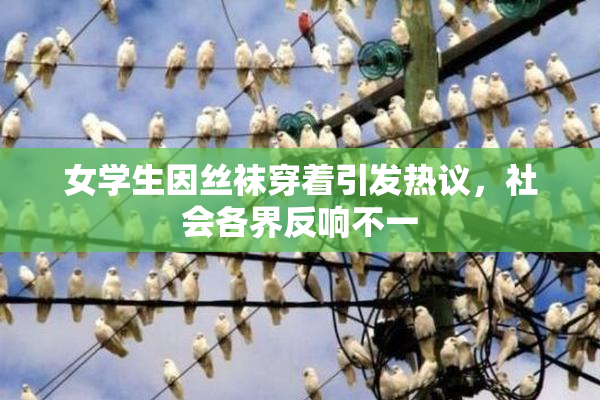 女学生因丝袜穿着引发热议，社会各界反响不一