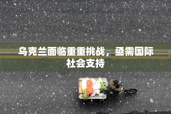 乌克兰面临重重挑战，亟需国际社会支持