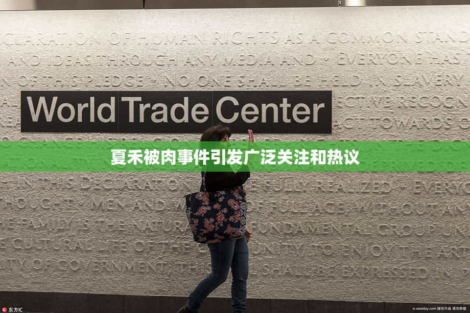 夏禾被肉事件引发广泛关注和热议