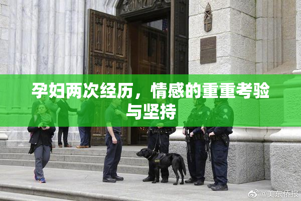 孕妇两次经历，情感的重重考验与坚持