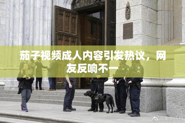 茄子视频成人内容引发热议，网友反响不一