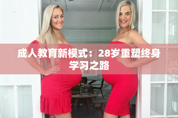 成人教育新模式：28岁重塑终身学习之路