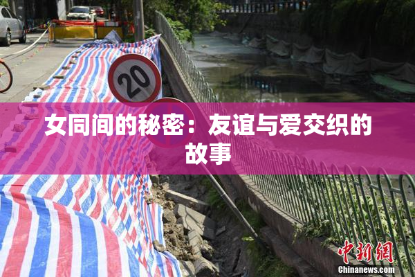 女同间的秘密：友谊与爱交织的故事