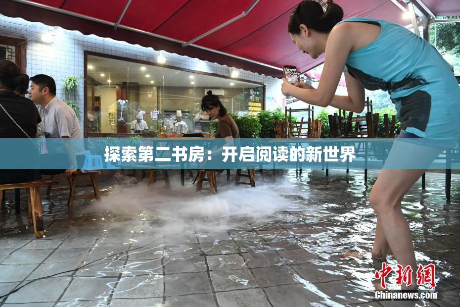 探索第二书房：开启阅读的新世界