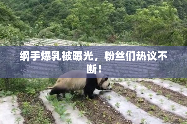 纲手爆乳被曝光，粉丝们热议不断！