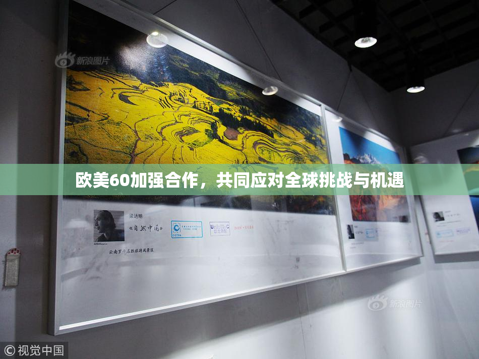 欧美60加强合作，共同应对全球挑战与机遇