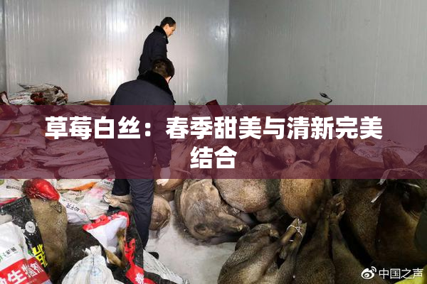 草莓白丝：春季甜美与清新完美结合