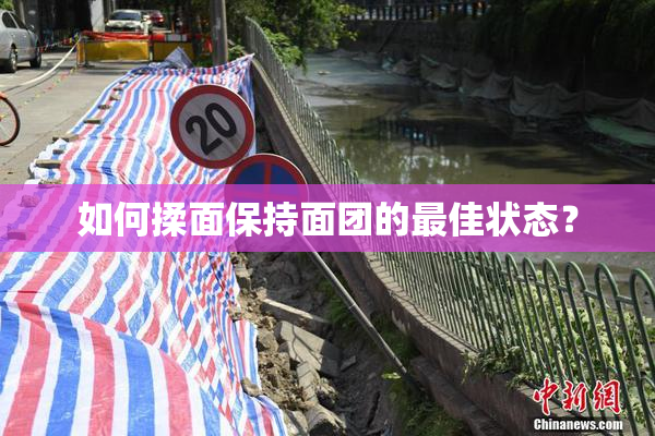如何揉面保持面团的最佳状态？
