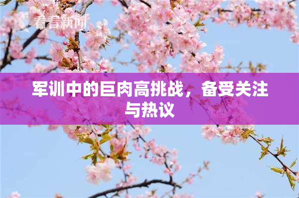军训中的巨肉高挑战，备受关注与热议