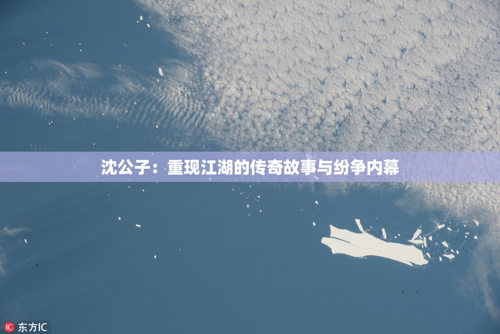 沈公子：重现江湖的传奇故事与纷争内幕