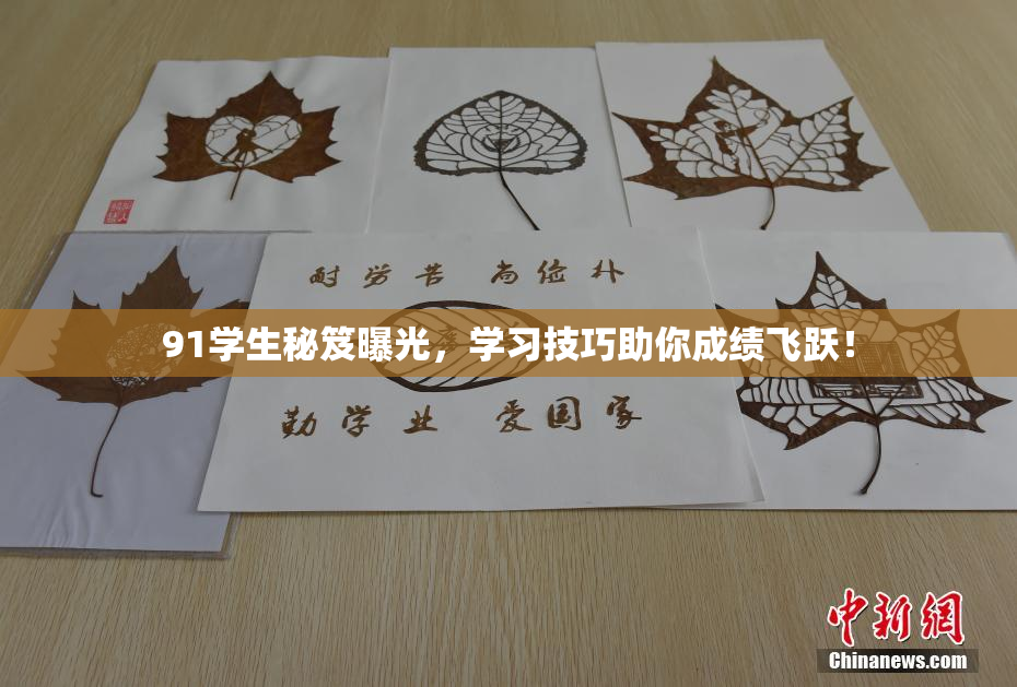 91学生秘笈曝光，学习技巧助你成绩飞跃！