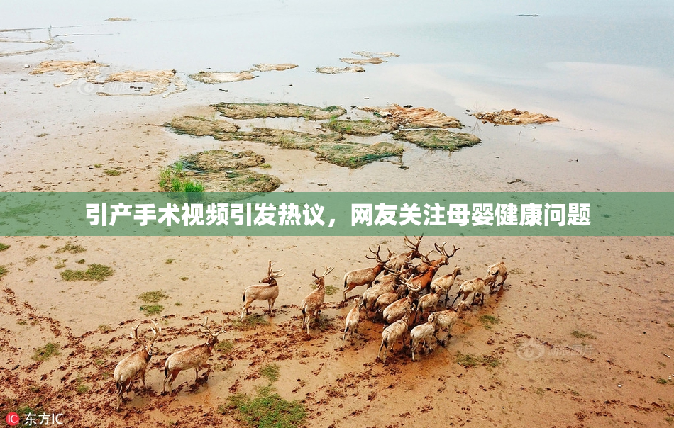 引产手术视频引发热议，网友关注母婴健康问题