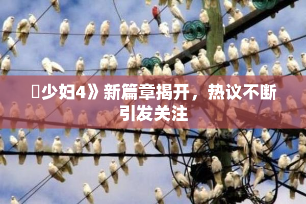 巜少妇4》新篇章揭开，热议不断引发关注
