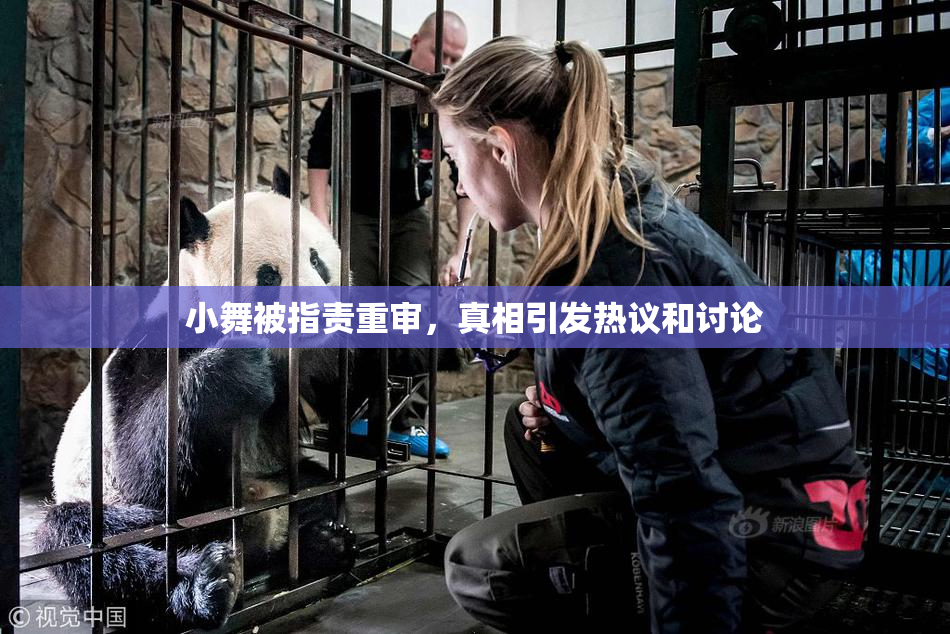 小舞被指责重审，真相引发热议和讨论
