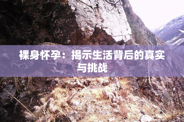 裸身怀孕：揭示生活背后的真实与挑战