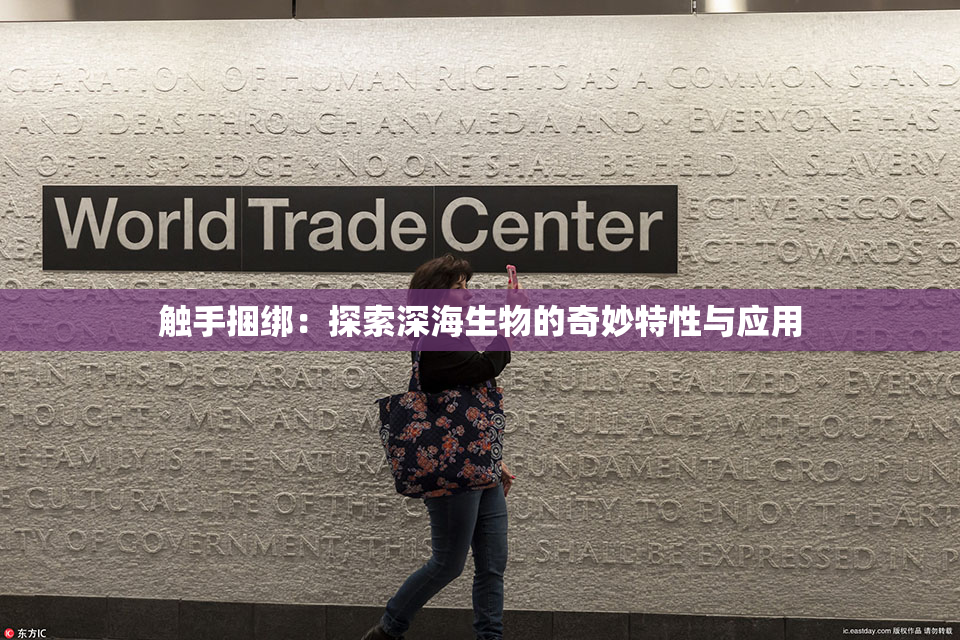 触手捆绑：探索深海生物的奇妙特性与应用