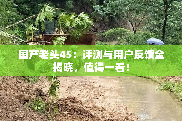 国产老头45：评测与用户反馈全揭晓，值得一看！