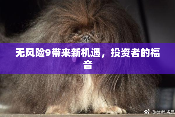 无风险9带来新机遇，投资者的福音