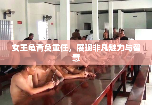 女王龟背负重任，展现非凡魅力与智慧