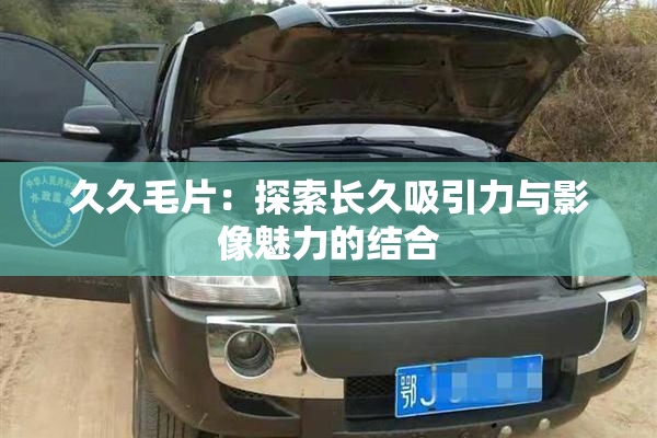 久久毛片：探索长久吸引力与影像魅力的结合