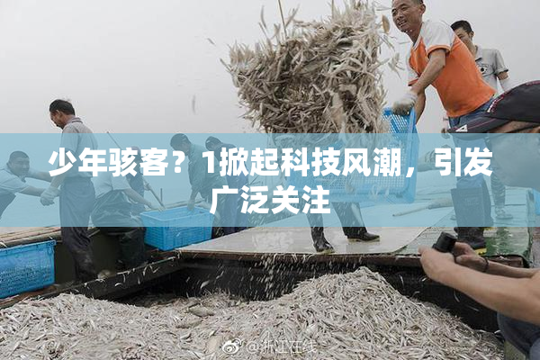 少年骇客？1掀起科技风潮，引发广泛关注