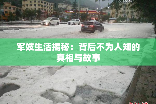 军妓生活揭秘：背后不为人知的真相与故事