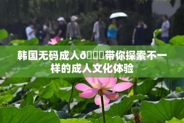 韩国无码成人🔞带你探索不一样的成人文化体验