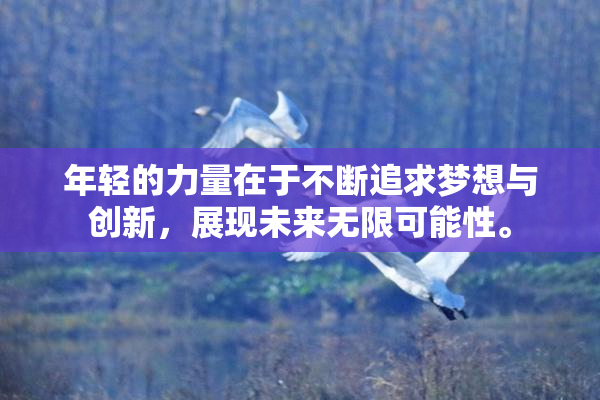 年轻的力量在于不断追求梦想与创新，展现未来无限可能性。
