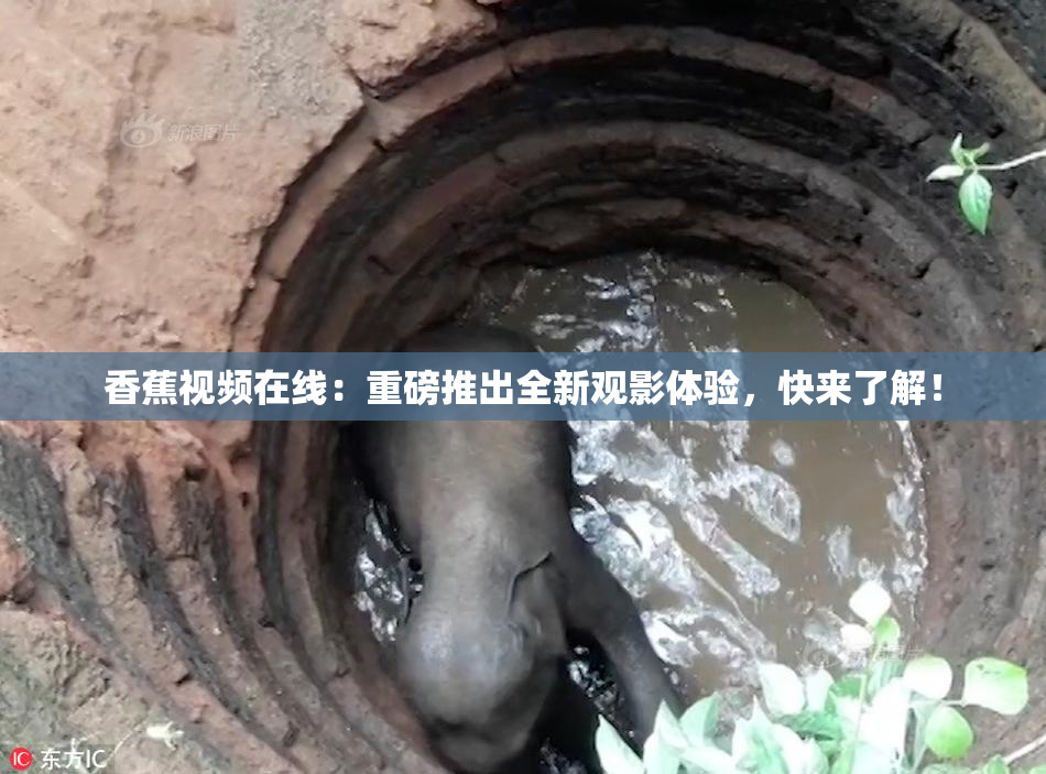 香蕉视频在线：重磅推出全新观影体验，快来了解！