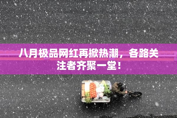 八月极品网红再掀热潮，各路关注者齐聚一堂！