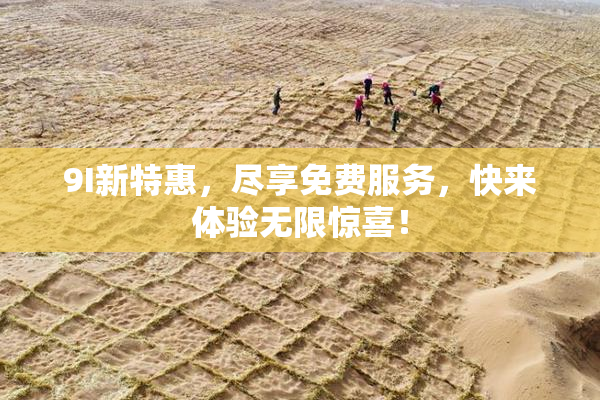 9I新特惠，尽享免费服务，快来体验无限惊喜！