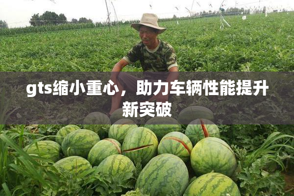 gts缩小重心，助力车辆性能提升新突破