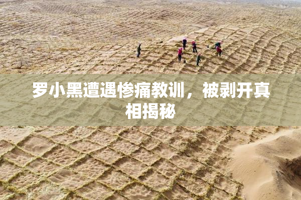 罗小黑遭遇惨痛教训，被剥开真相揭秘