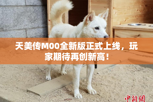 天美传M00全新版正式上线，玩家期待再创新高！